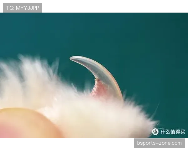 拉莫斯连指甲都讲究成这样，普通人指甲刀能顶得住吗？