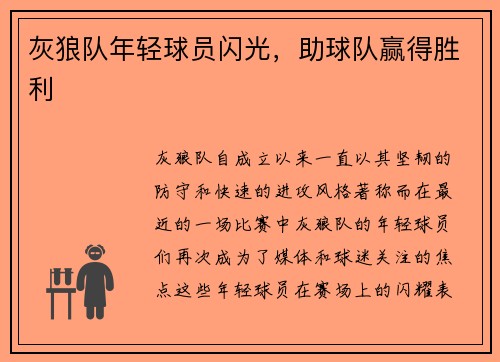 灰狼队年轻球员闪光，助球队赢得胜利